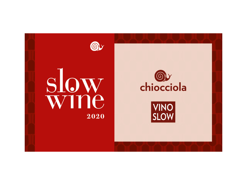 Slow Wine 2020
